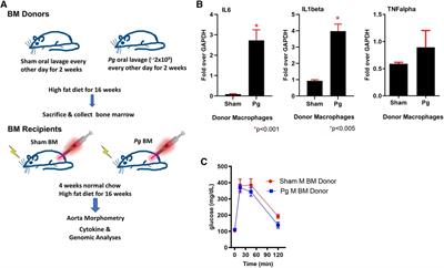 DNA methylation changes underlie the long-term association between periodontitis and atherosclerotic cardiovascular disease